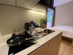 Mount Elizabeth Link (D9), Condominium #606374781